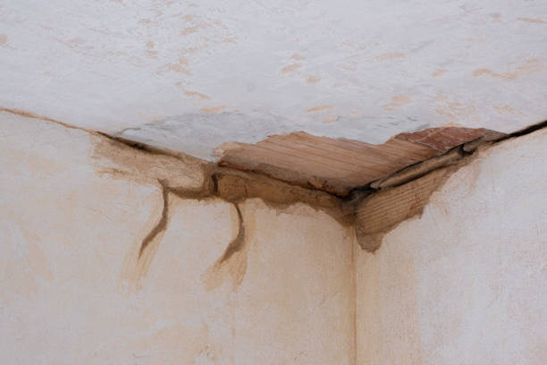Professional Water damage restoration in Yucca Valley, CA